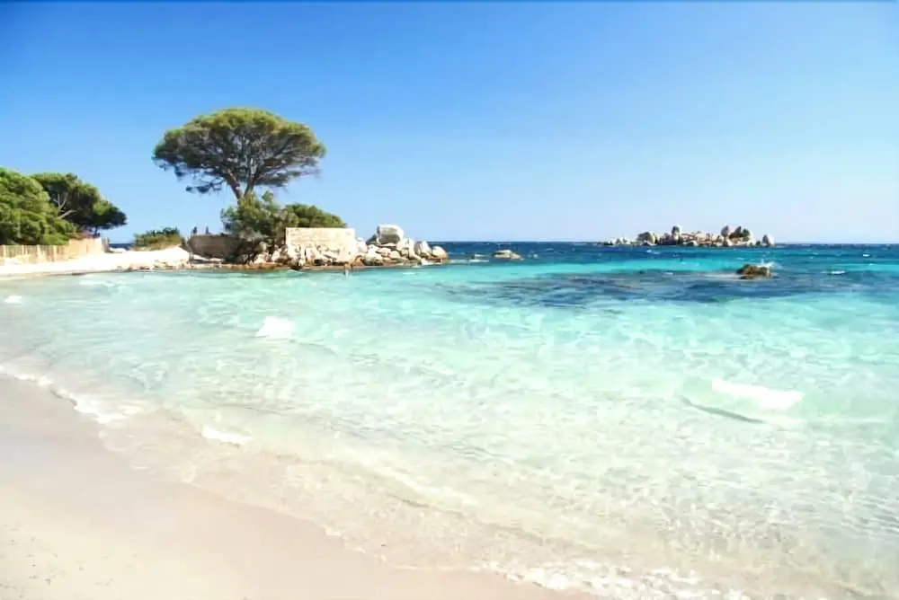 Bergerie 1 - Trinidado OF Porto Vecchio - Quiet - 3