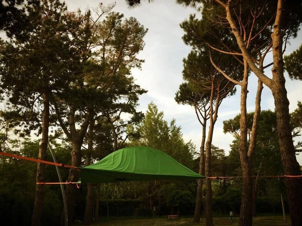 CAMPING AMALASUNTA