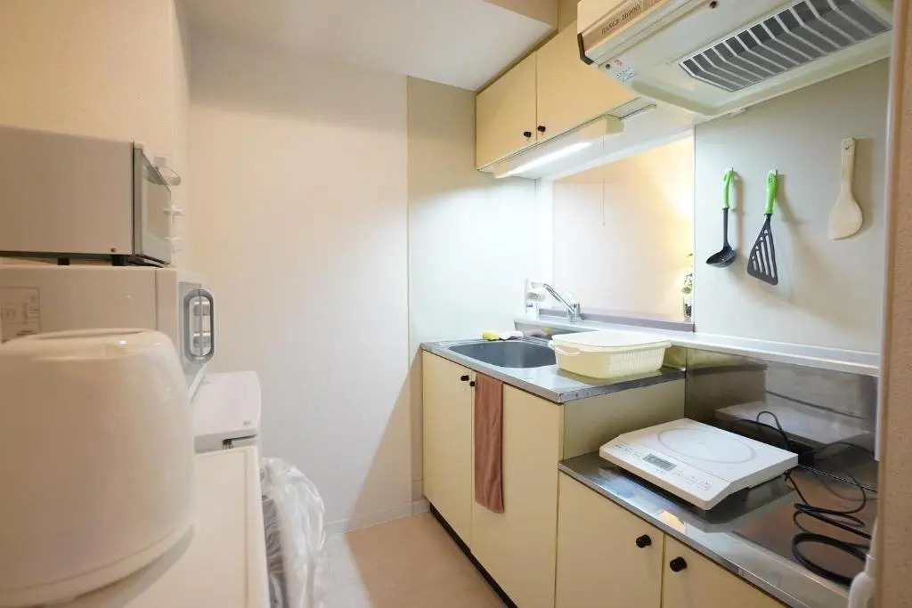 Downtown Susukino area Spacious Great access IK201