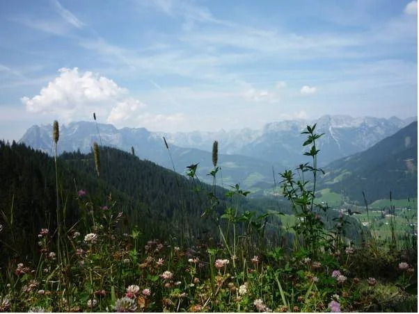 Gasthof-Pension Strassreith