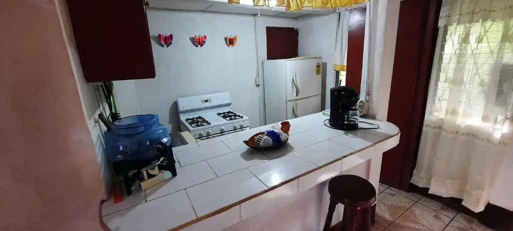 Tropical Dreams Hostel