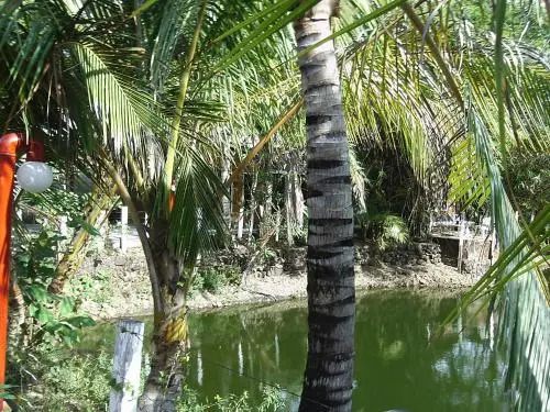 Chale Praia Residence