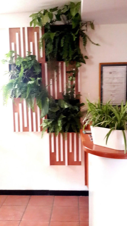 Arbol de Fuego Eco-hotel