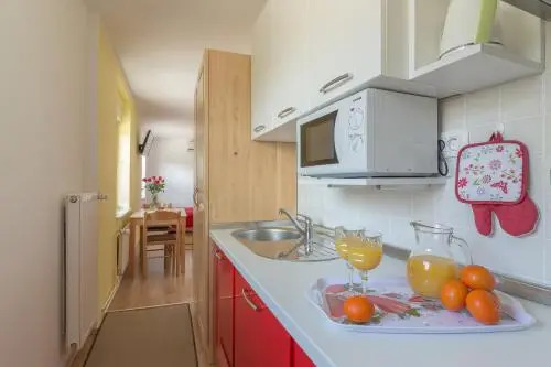 Apartments Repinc