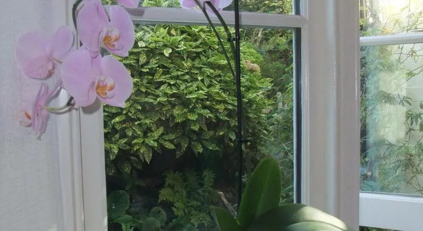 The Fernery