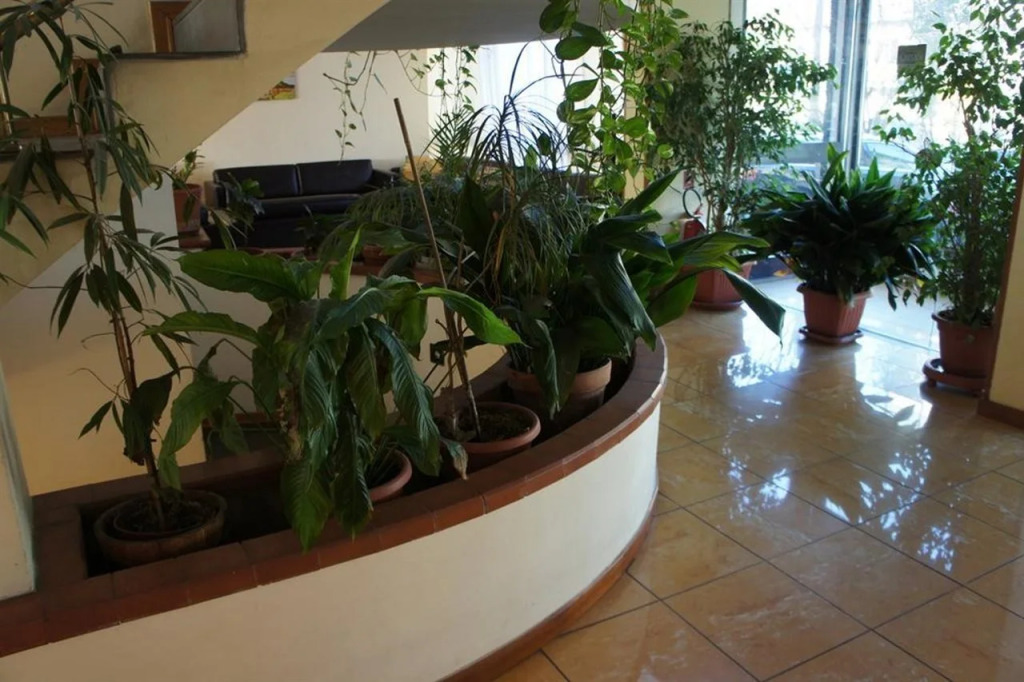 Hotel Albatros