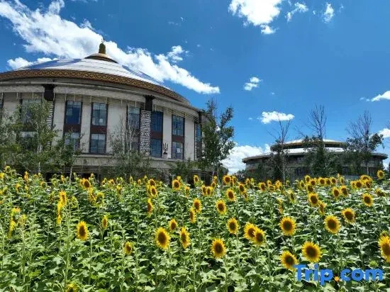 Arcadia Resort