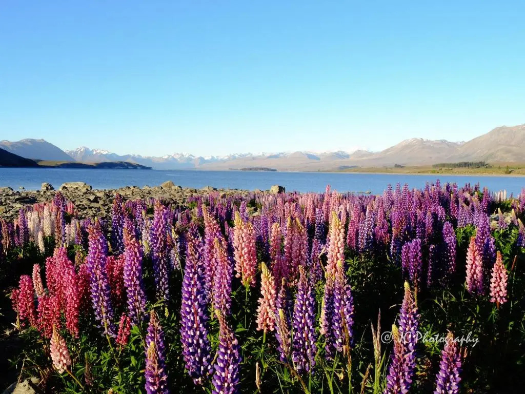 Tekapo Luxury Apartments