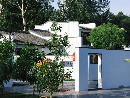 A Tree Hostel