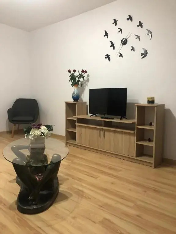 Apartament Kiseleff