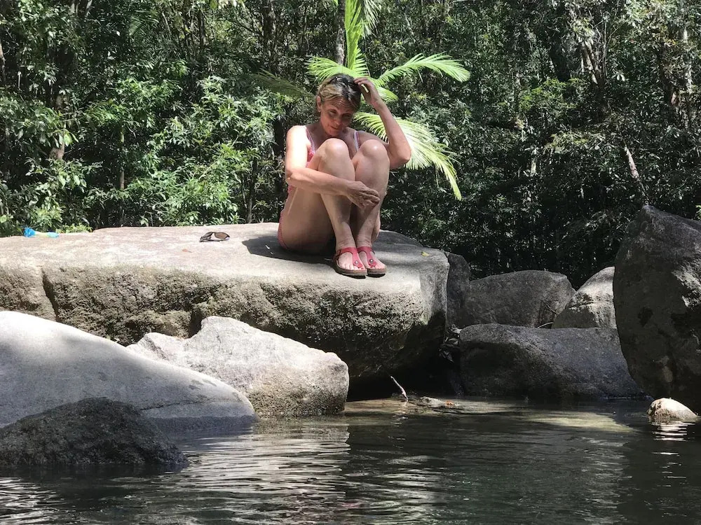 Daintree Crocodylus