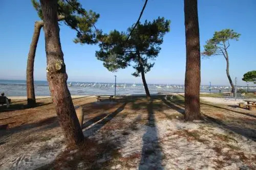 Grande villa bassin d’Arcachon, spacieuse et lumineuse 10 personnes