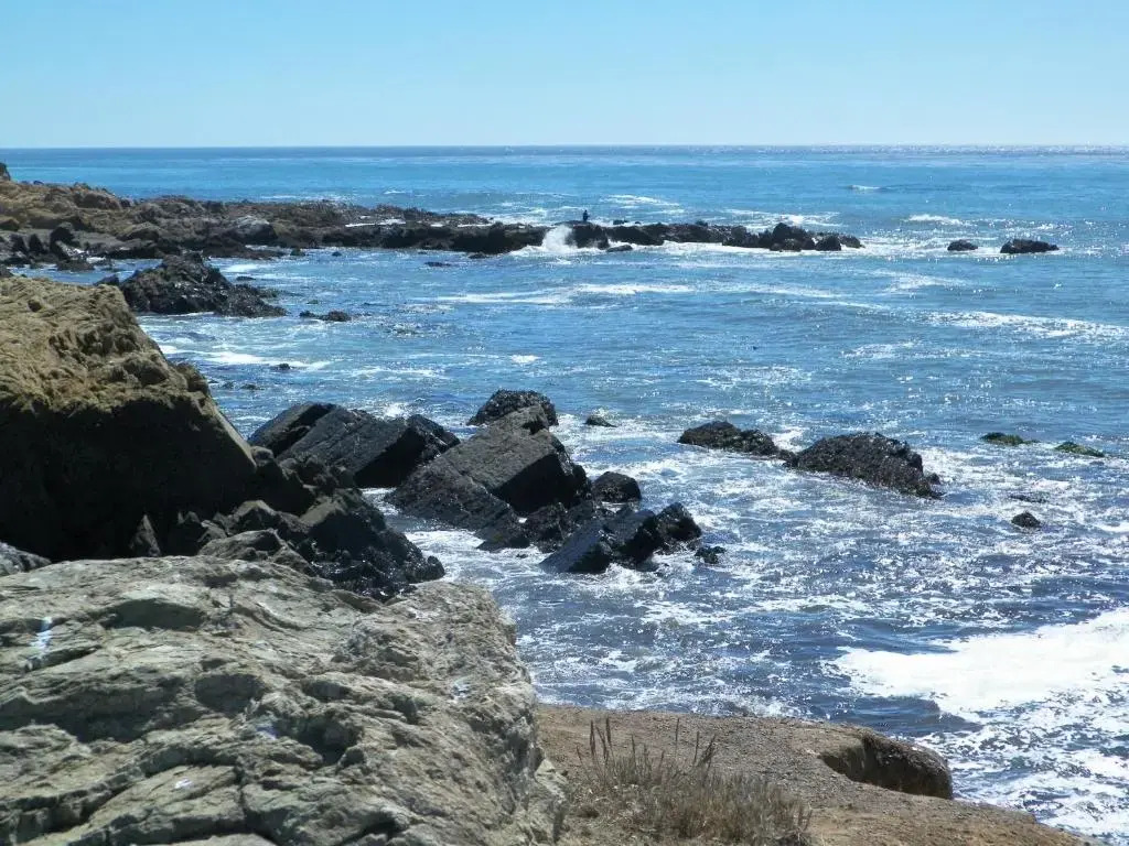 Sea Otter Inn