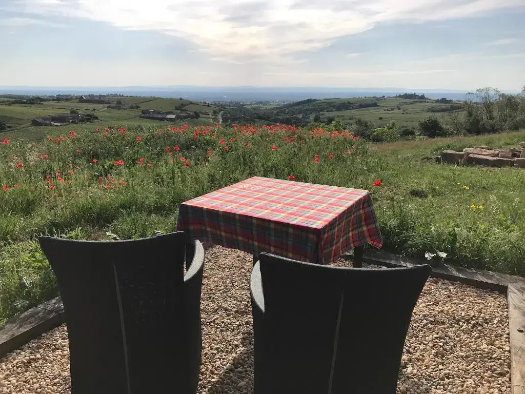 L'Esprit des Vignes