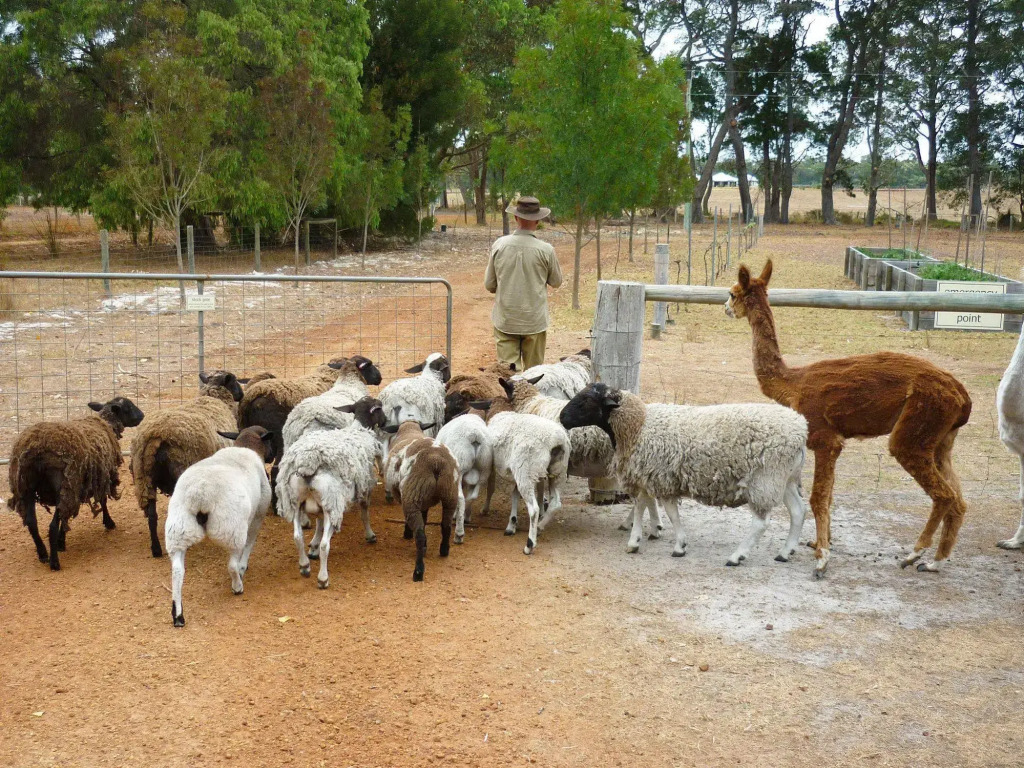 Margaret River Hideaway & Farmstay