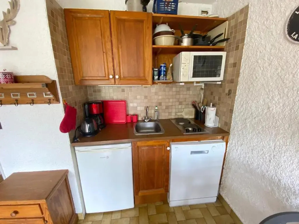 Appartement La Clusaz, 1 pièce, 4 personnes - FR-1-459-118