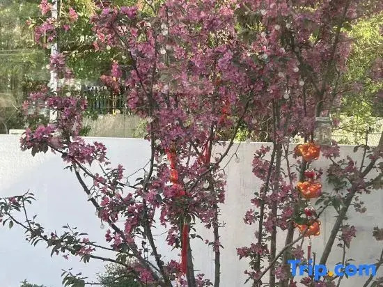Hua Ying Hotel