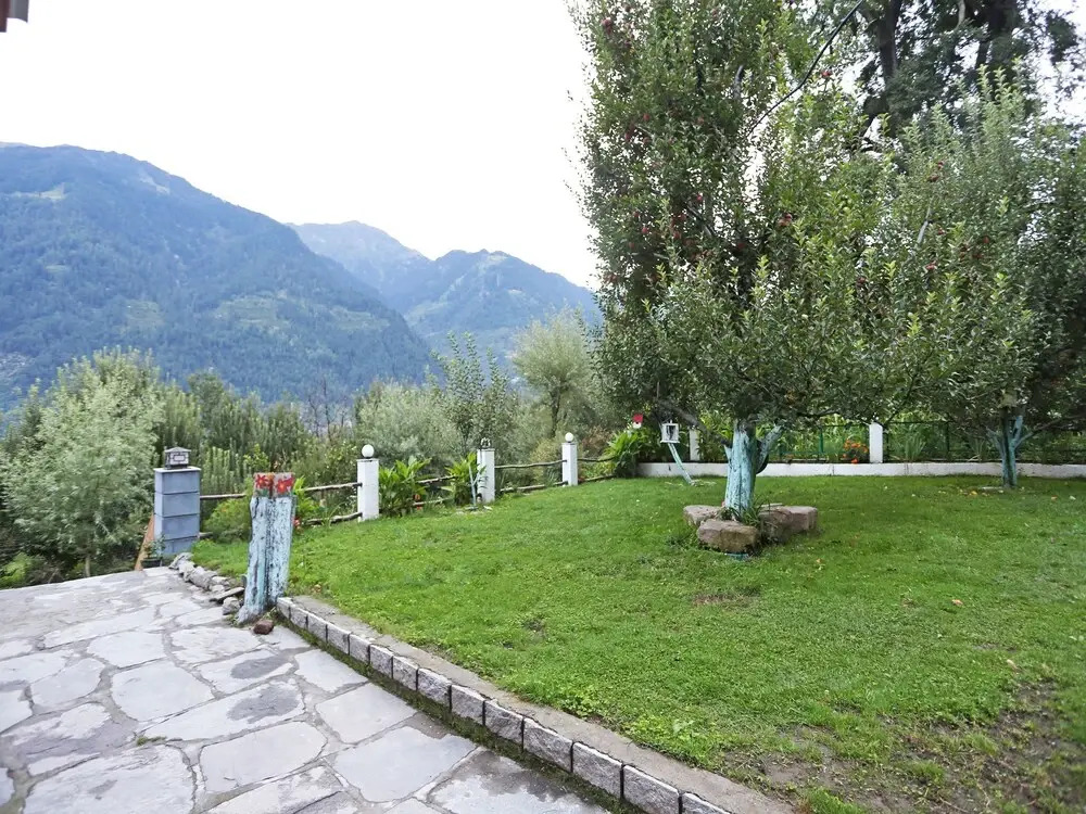 OYO 9574 Hotel The Nature Bliss