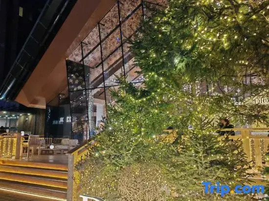 Vanke Songhua Lake Qingshan Cooked Snow Homestay