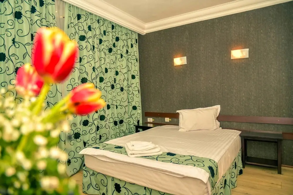 Hotel Elisabeta