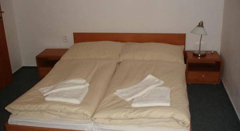 Hotel Allvet