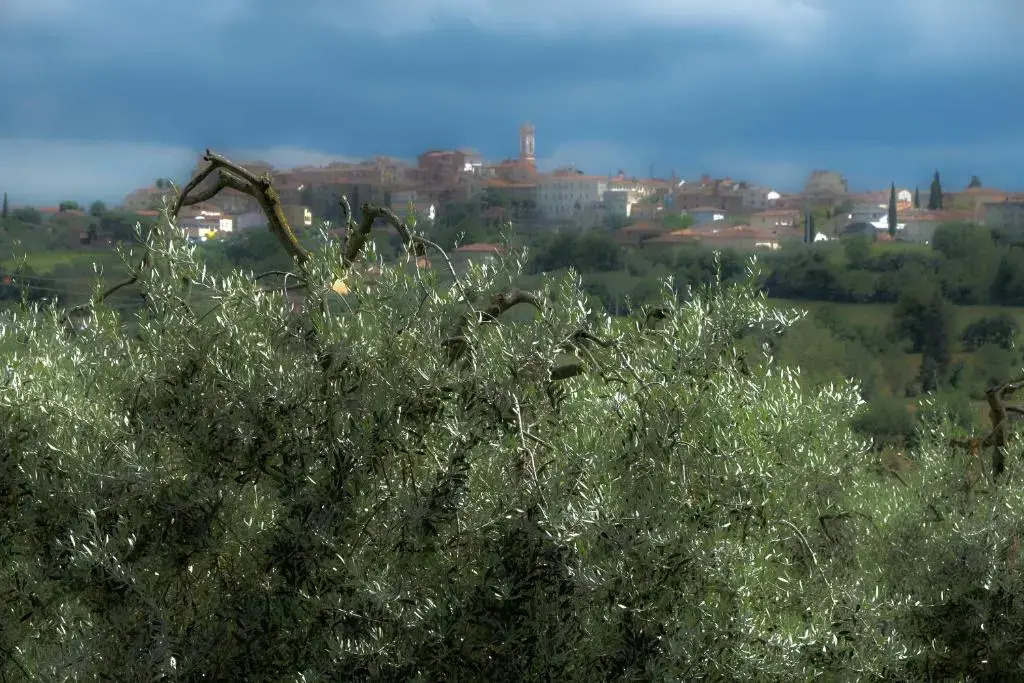 Casa vacanze Fatucchi