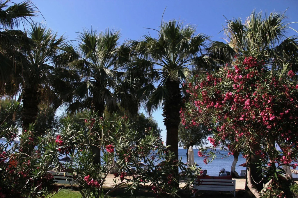 Yilmaz Hotel