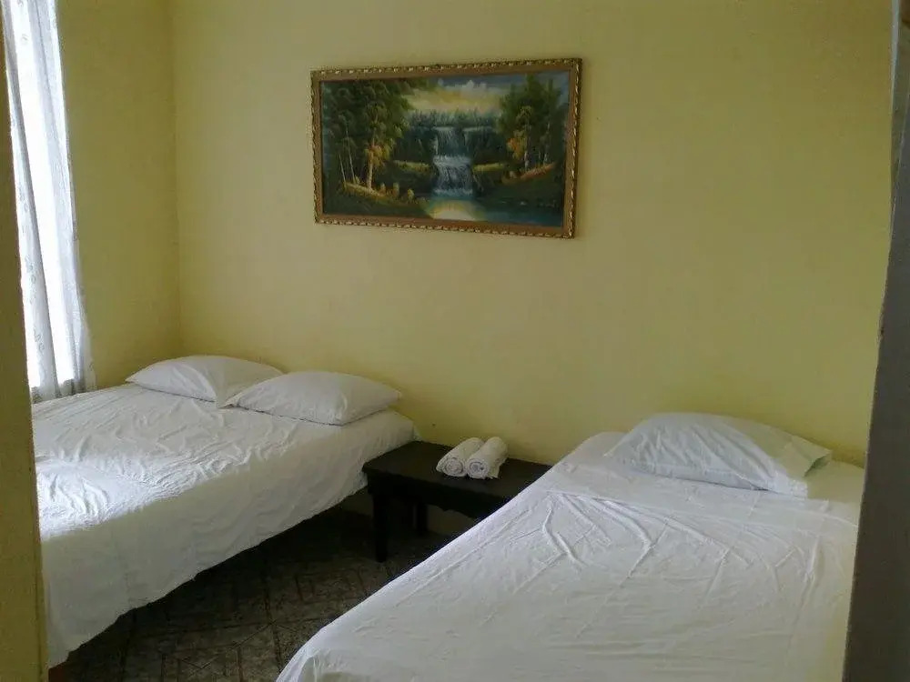 Hostel Dorothy