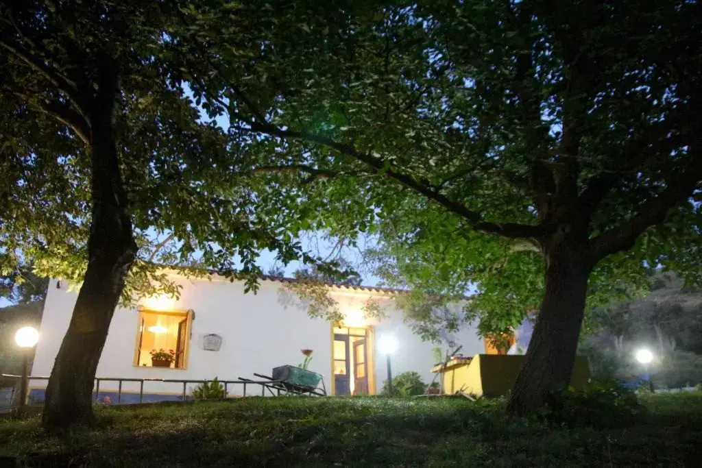 Holiday home in Aggius 30430