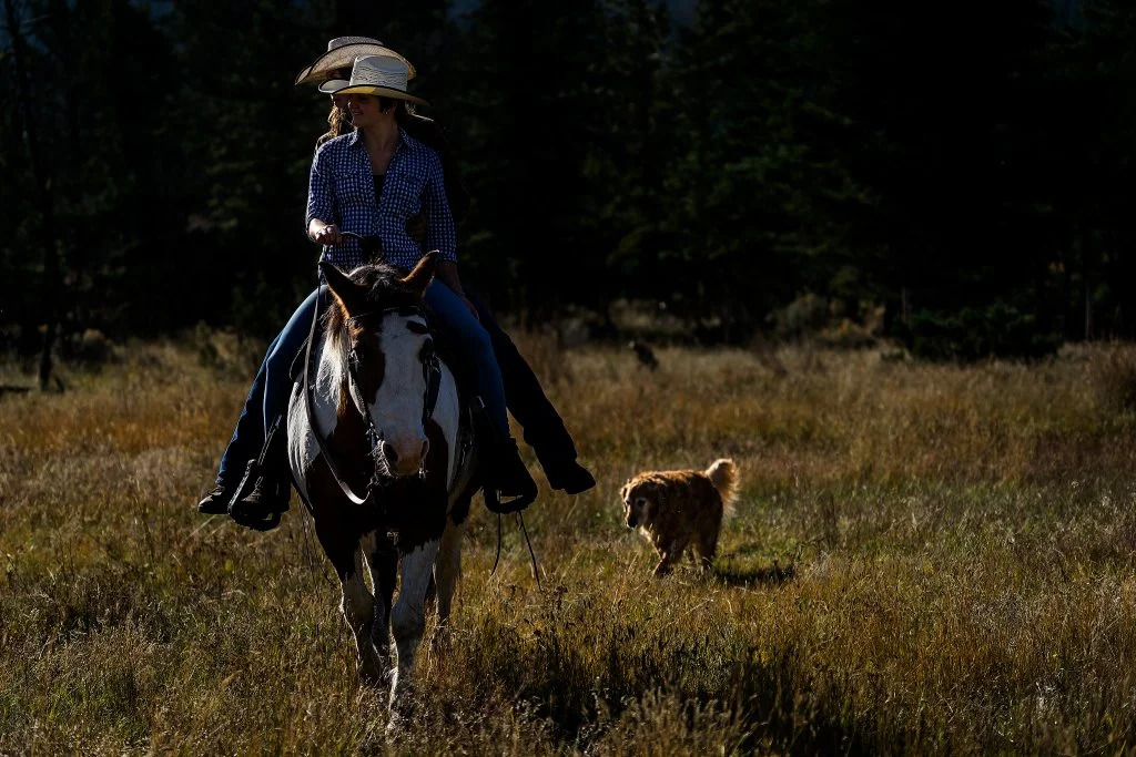 YD Guest Ranch