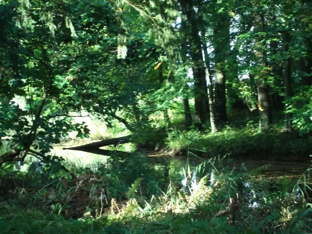 B&B en SPA Landgoed Matanze