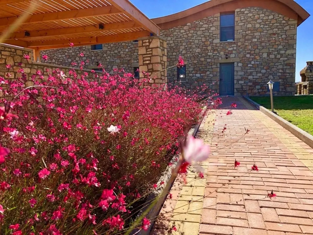Luxury Rhodes Villa Villa Verano 6 Guests Private Pool Lardos