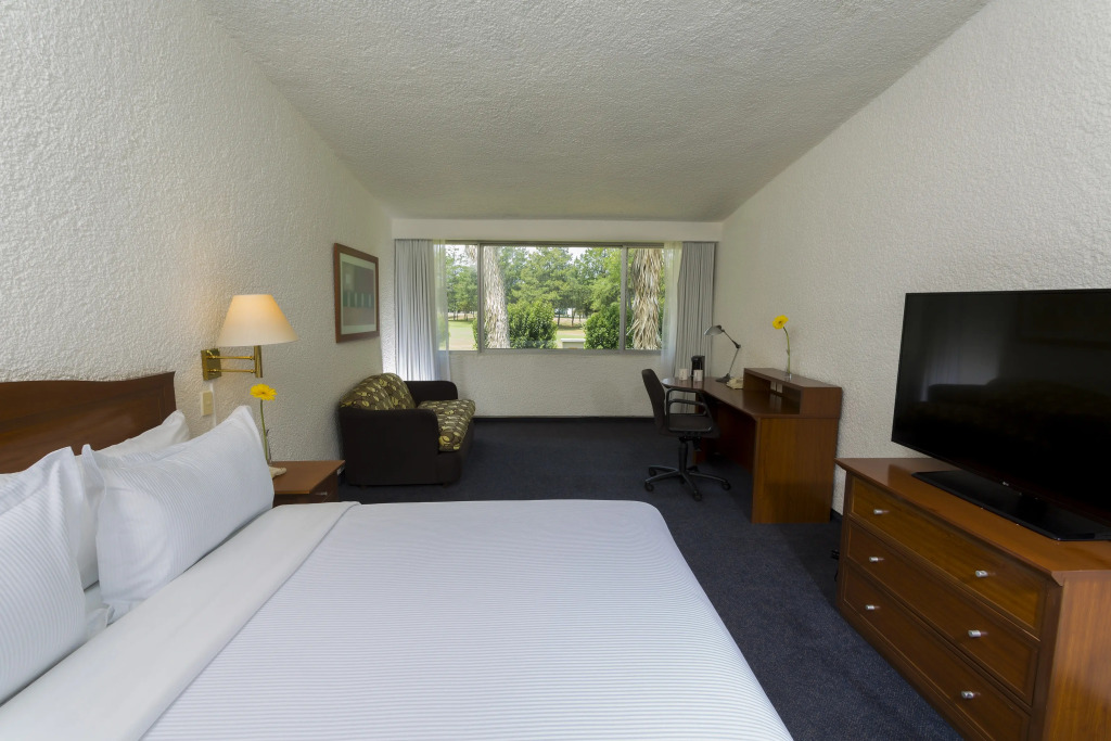 Plaza Juarez [ex. Holiday Inn Ciudad Juarez Lincoln]