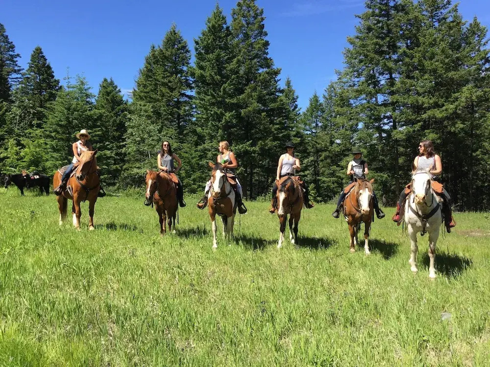 YD Guest Ranch