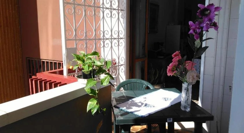 University B&B