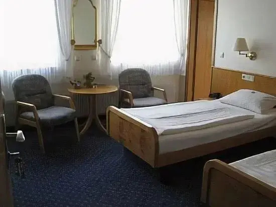 Hotel Hubertus Gernsheim Rhein