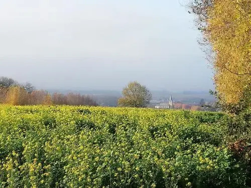B&B t Huys van Enaeme