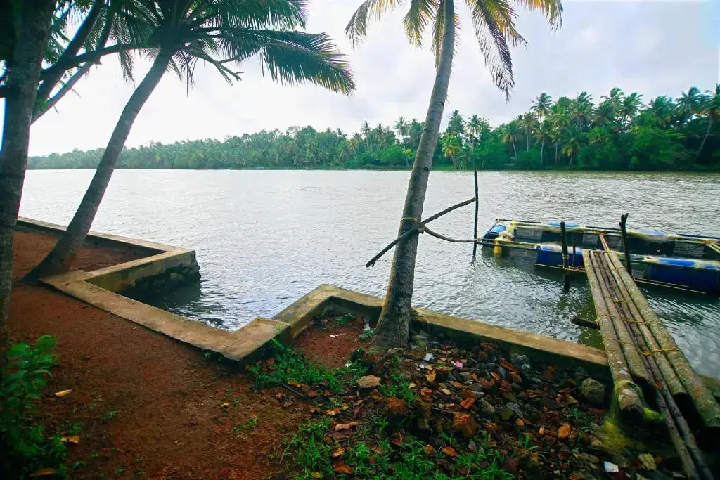 Munroe Lagoons