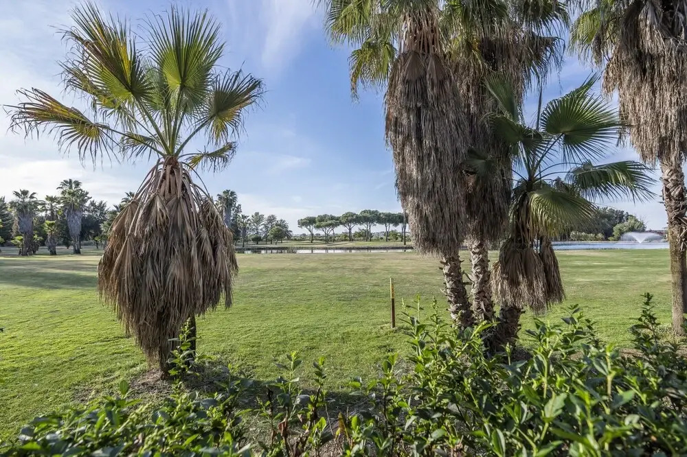 Flat Near Isla Canela Golf