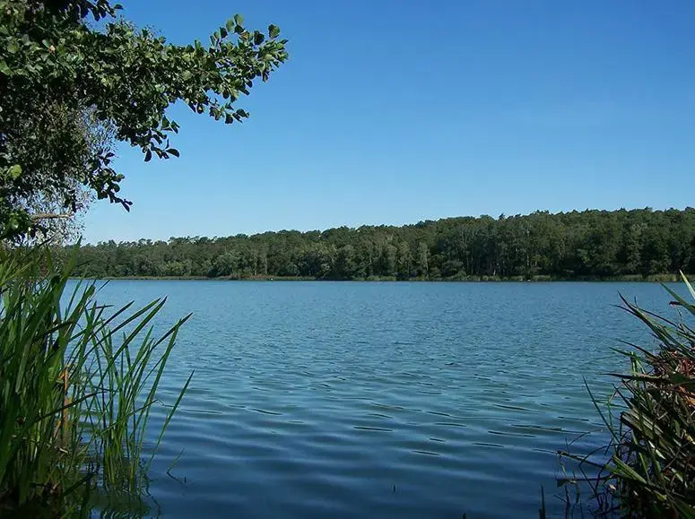 Lake Hotel- Centrum szkoleniowo-rekreacyjne