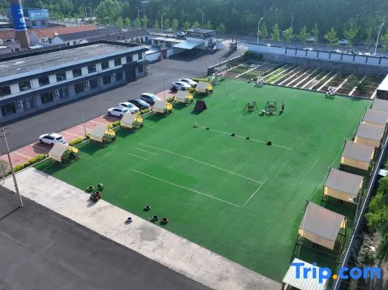 Linxi · Taotao Courtyard