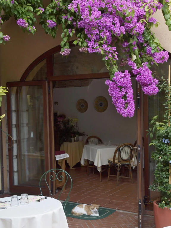 Hotel San Filis