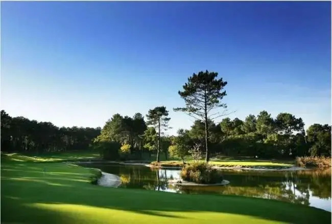 SEIGNOSSE PLAGES: Beau Studio équipé avec terrasse face aux dunes
