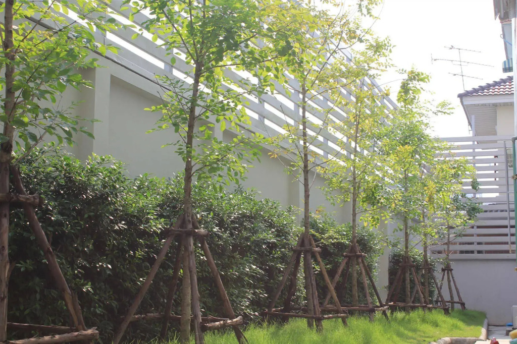UTD8 Hotel and Residence