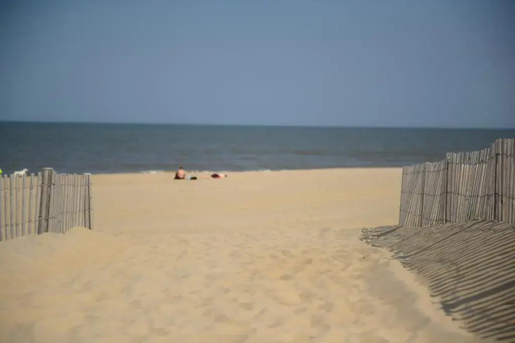 Beach House Dewey