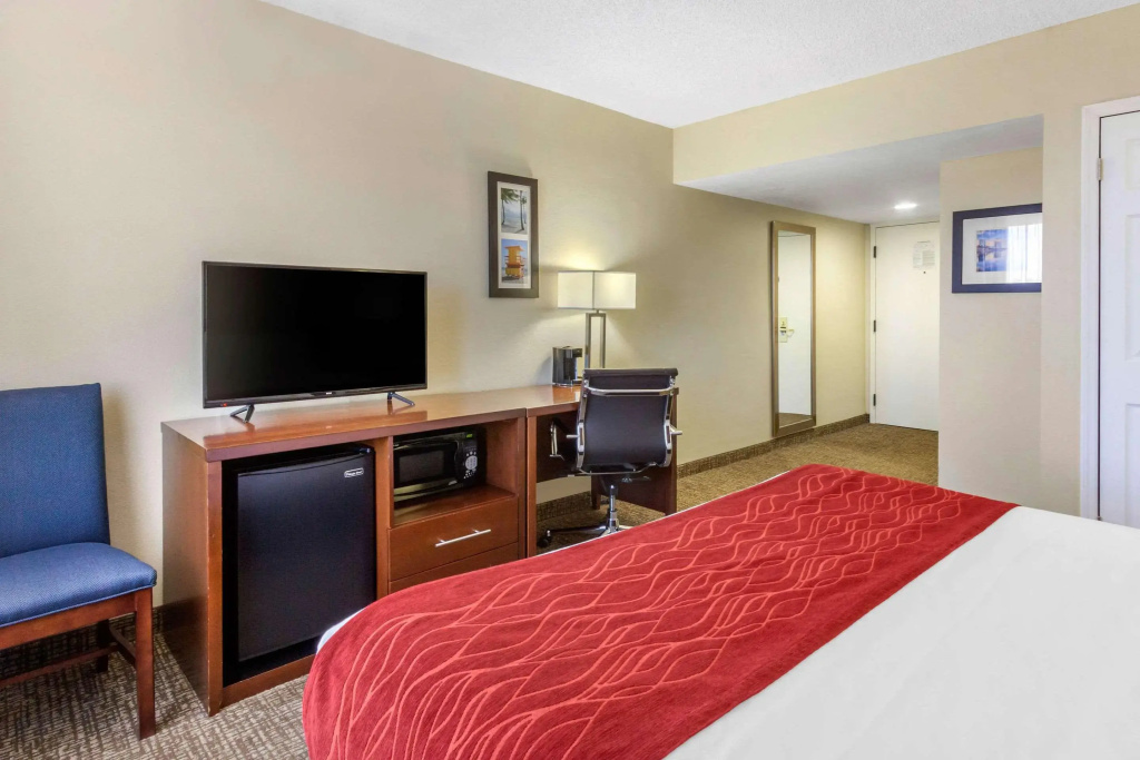 Comfort Inn St Petersburg North