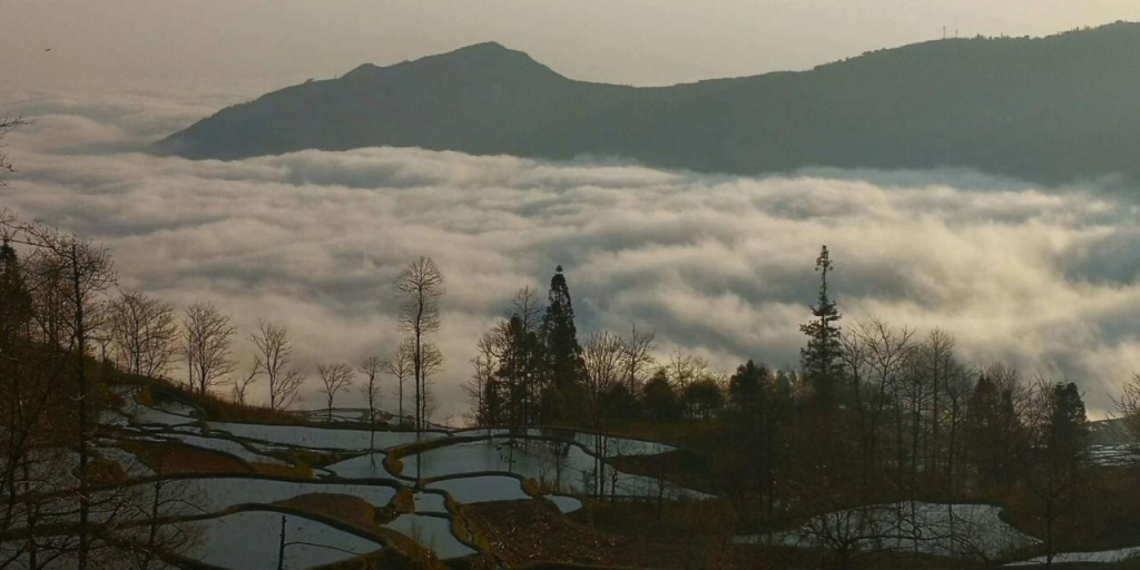 元阳多依湾客栈Havre de paix DuoYiWan YuanYang