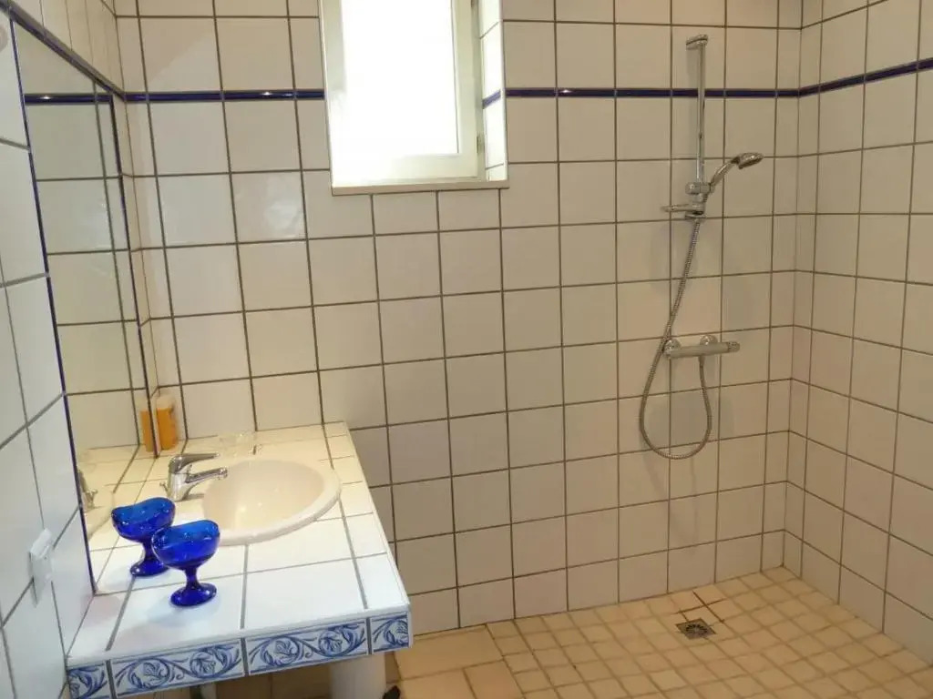 Gîte spacieux avec cheminée et animaux admis - FR-1-496-31