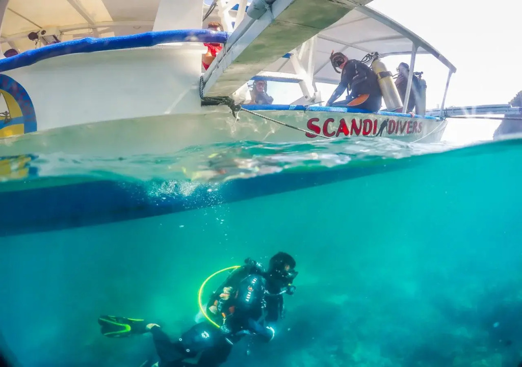 Scandi Divers
