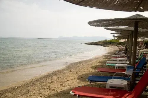 Hotel Beach Amaryllis